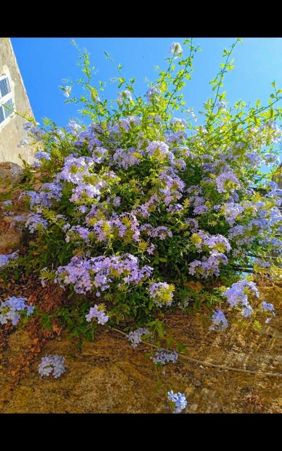 City Walls Sea View Corfu  Bagian luar foto